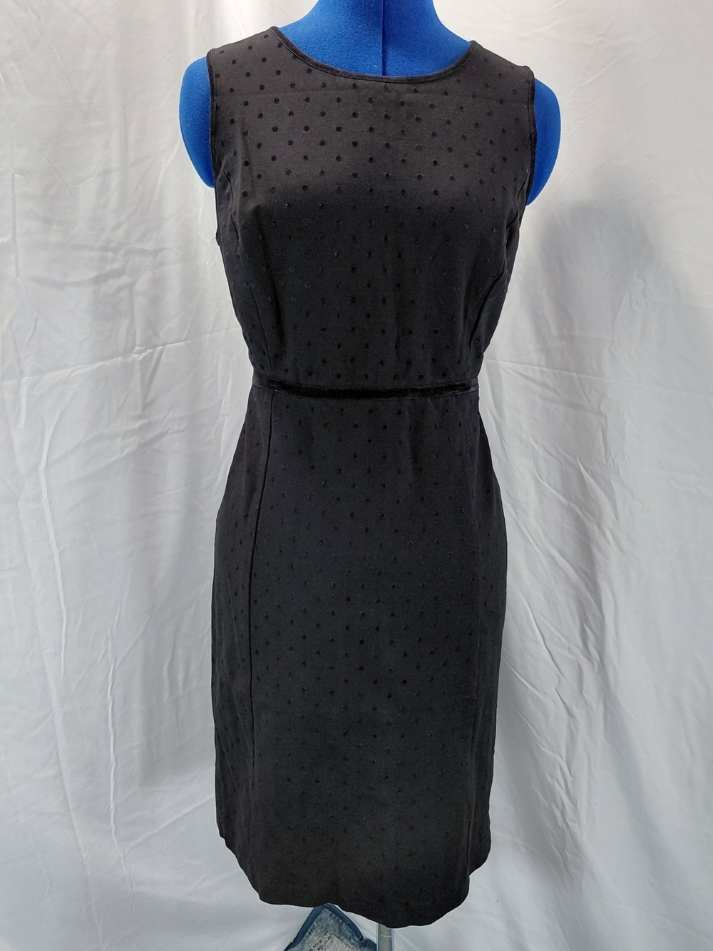 Talbots Black Sleeveless Mini Dress with Dotted Swiss Texture